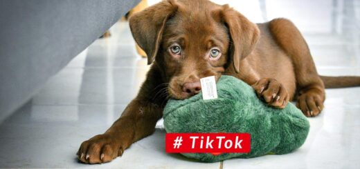 Hashtag TikTok